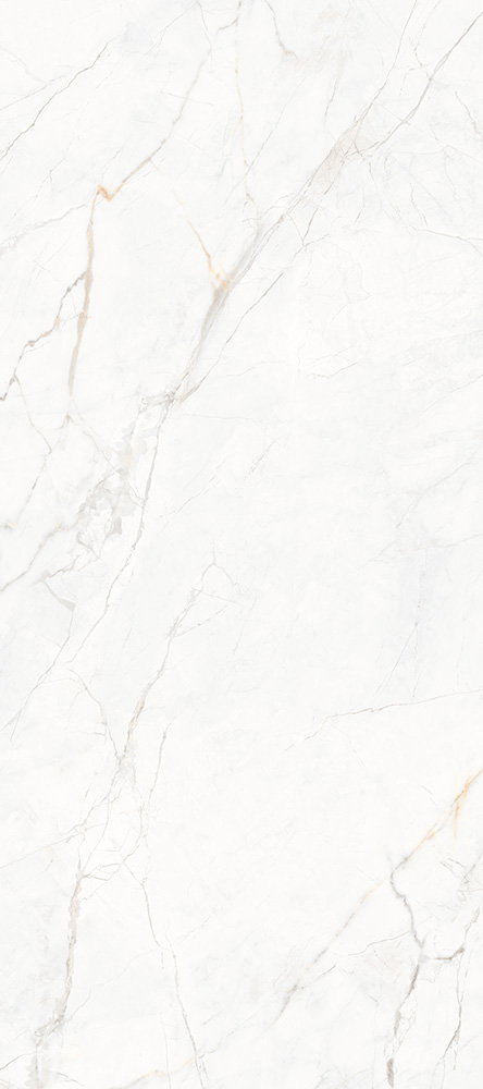 鎏金歲月-TWX613903