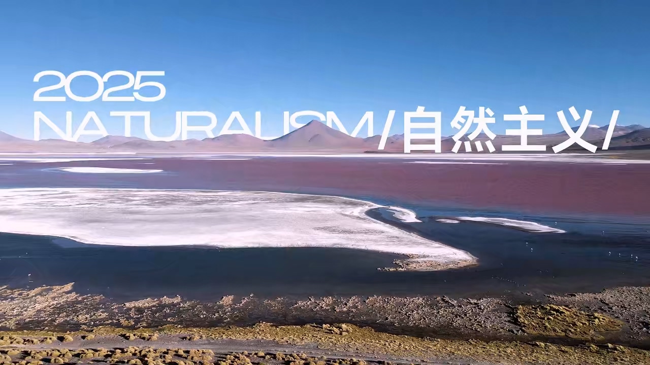 自然主義 | 宏觀感知，微觀構造 }