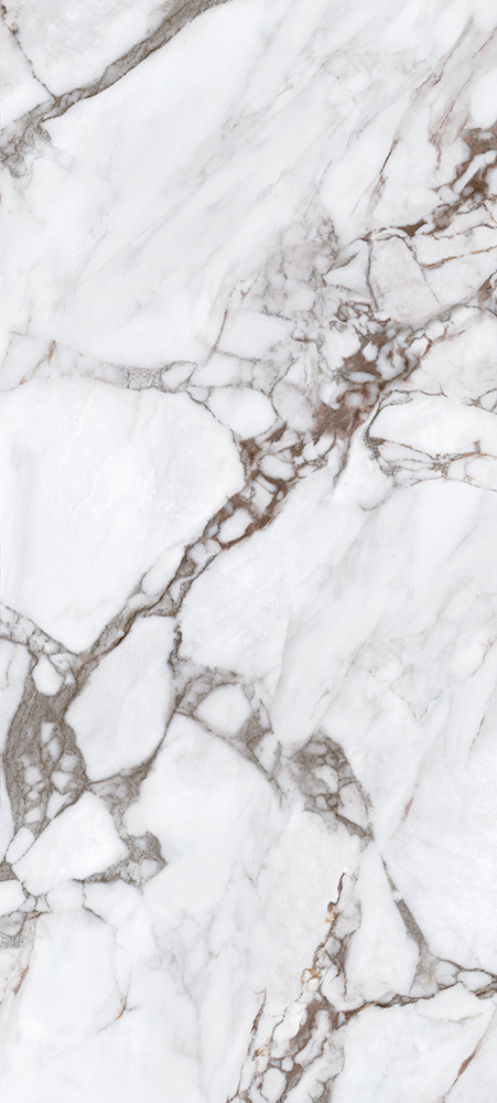 寶格麗紫-TWX613906