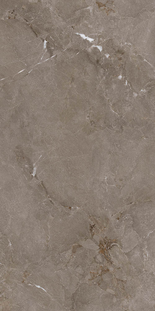 薩爾瓦灰-TWX715555Y